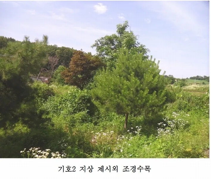 사진 13