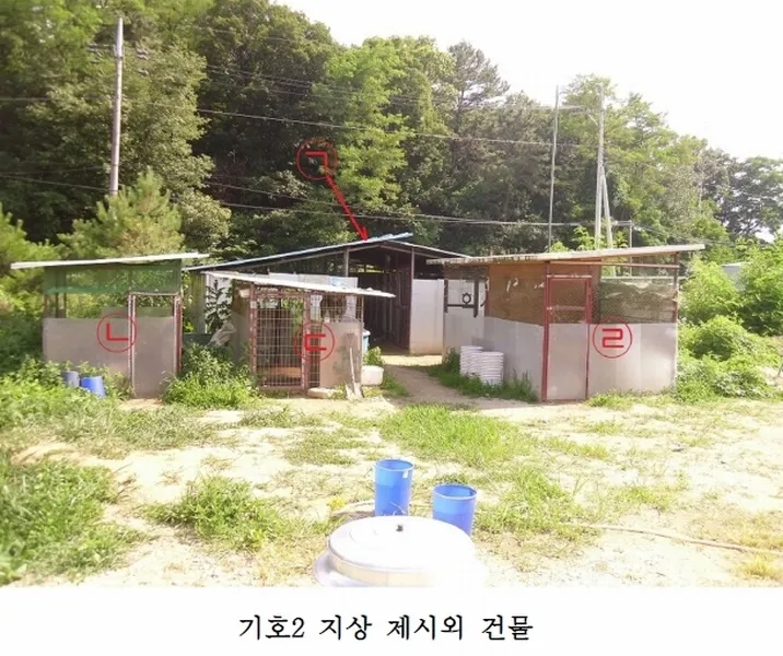 사진 15