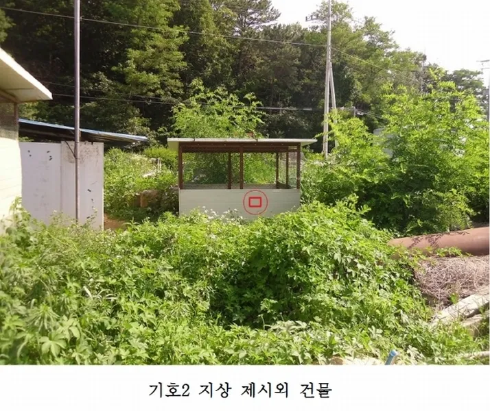 사진 17