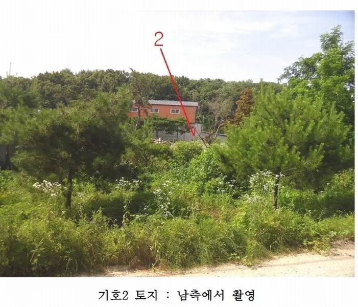 사진 2