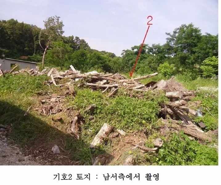 사진 3