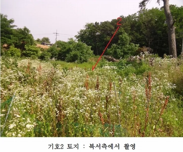 사진 4