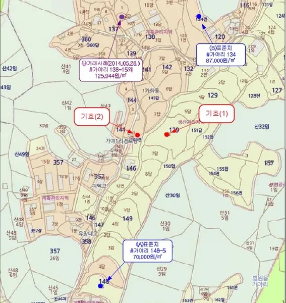 사진 6
