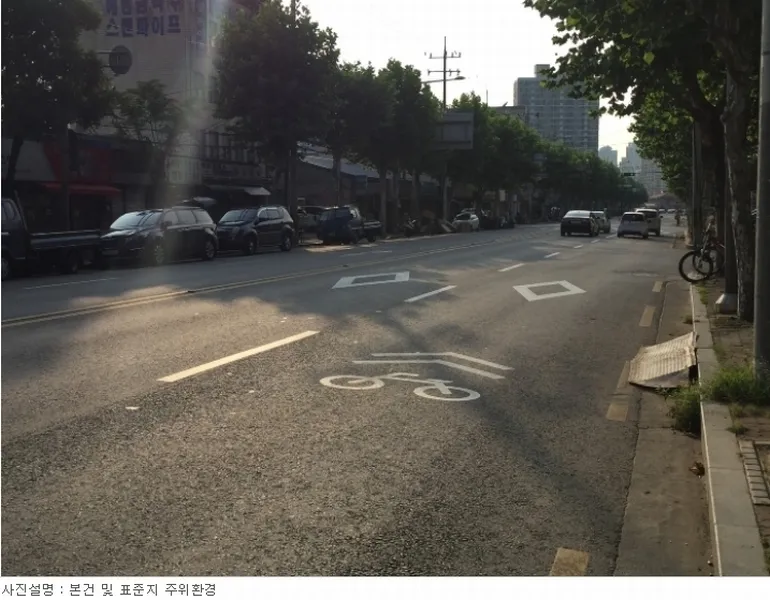 사진 5