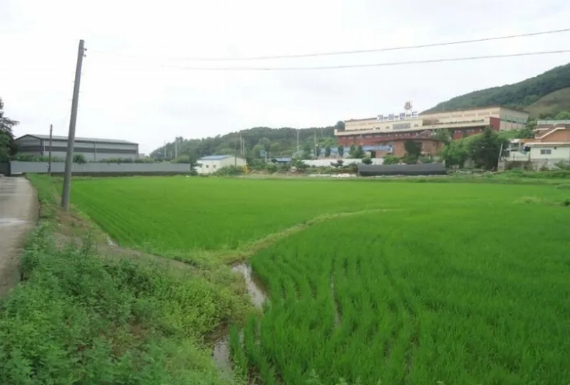 사진 2
