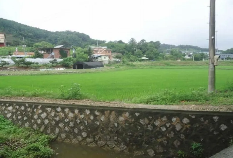 사진 3