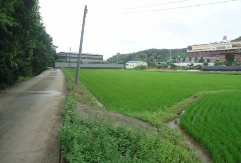 사진 4
