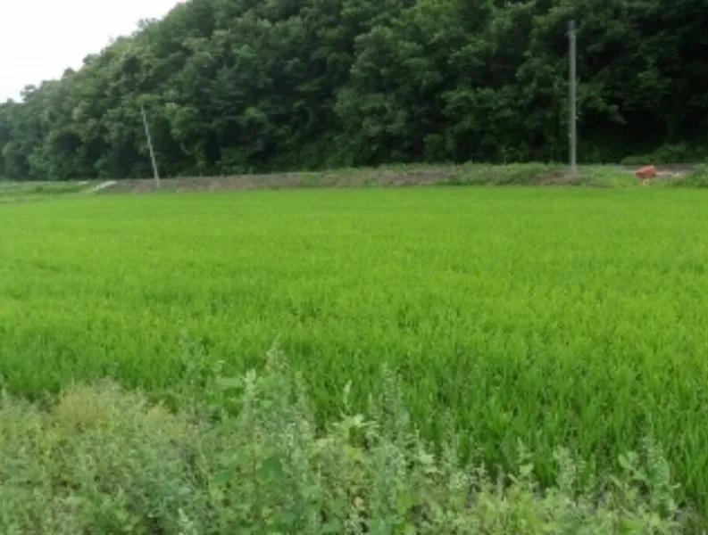 사진 5