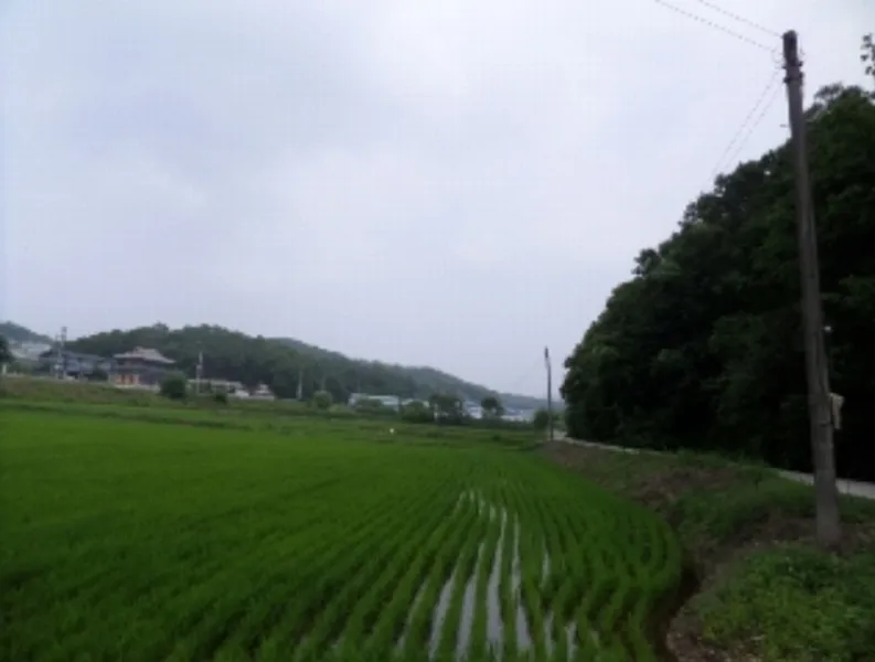 사진 7