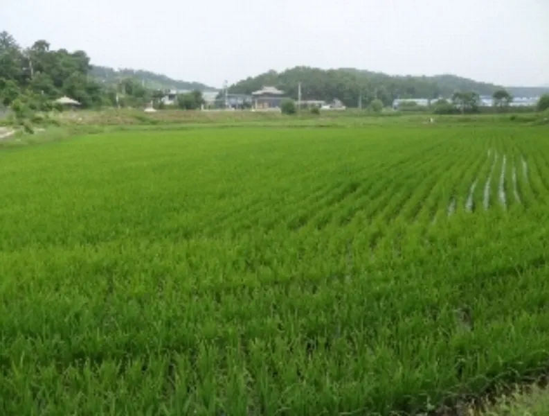 사진 8