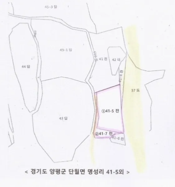 사진 12