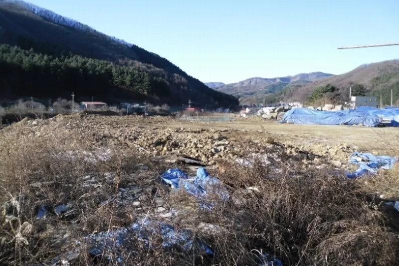 사진 2