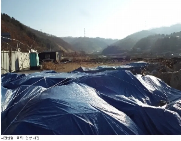 사진 5