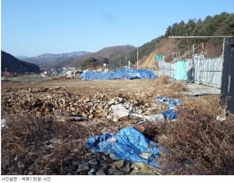사진 6