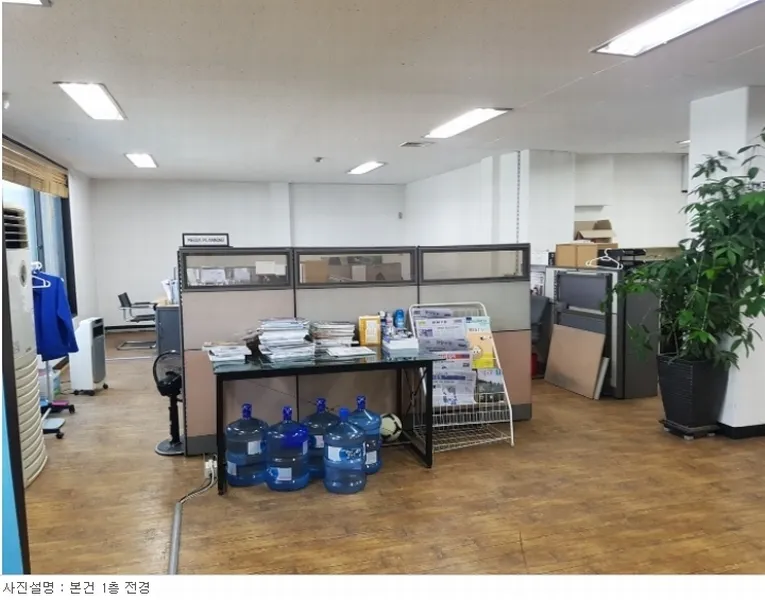 사진 11