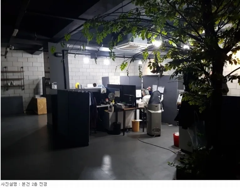 사진 13