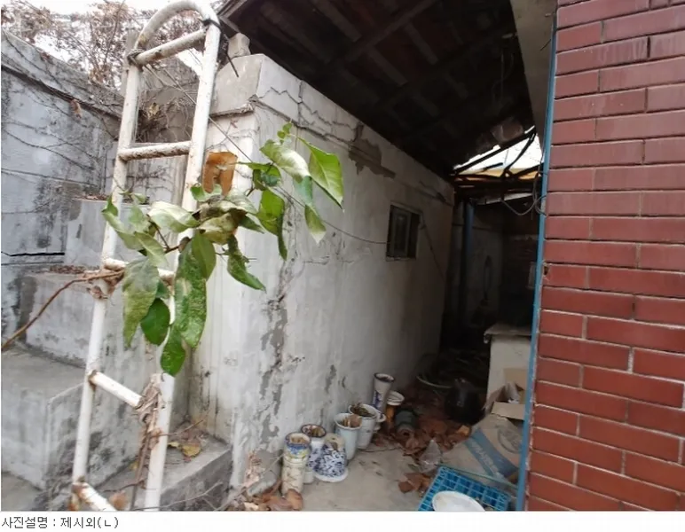 사진 10
