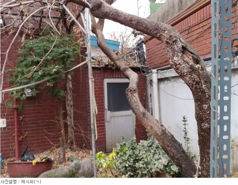 사진 9