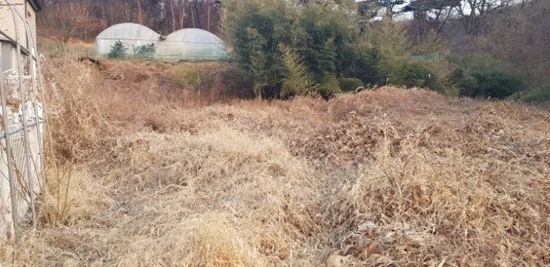 사진 2