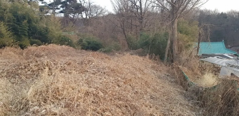사진 3
