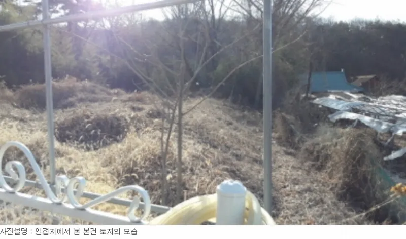 사진 5