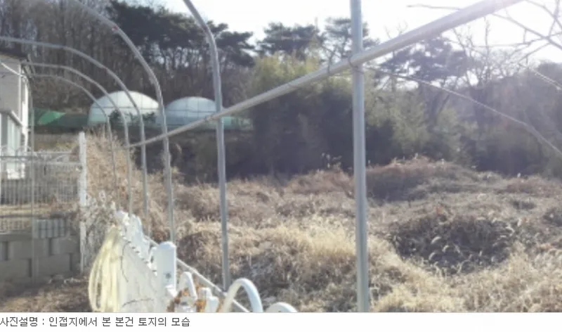 사진 6