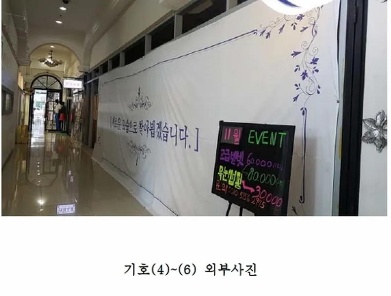 사진 15