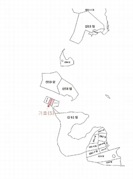 사진 6