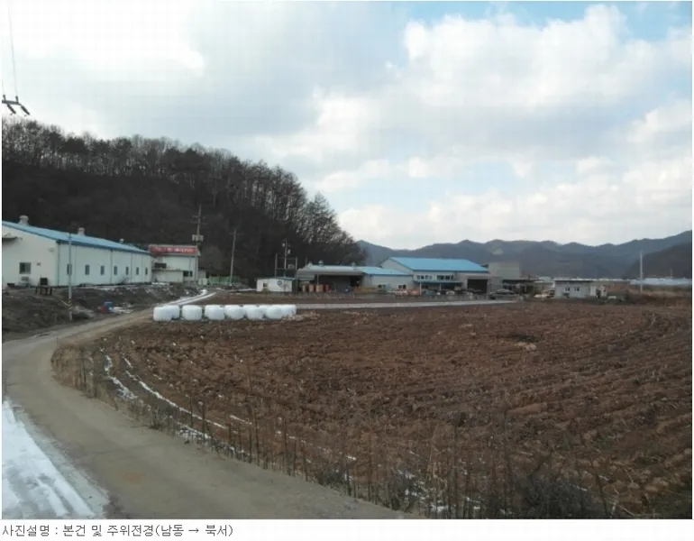 사진 3