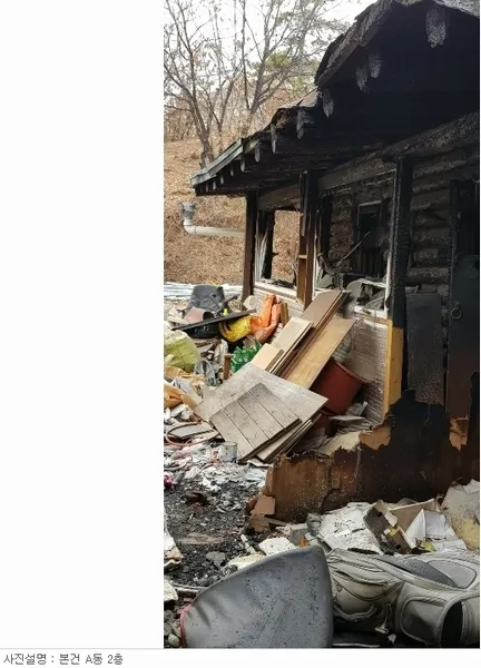 사진 15