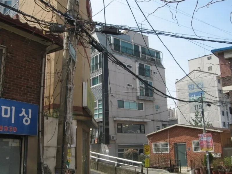 사진 3