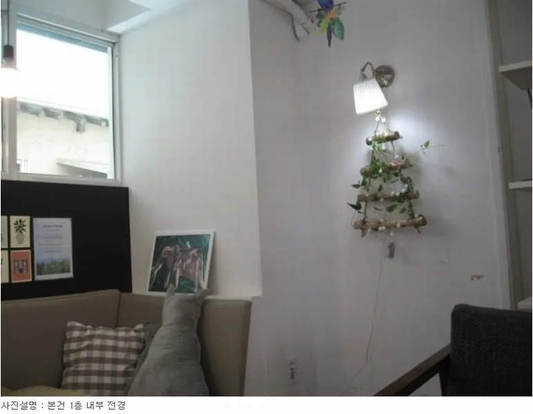 사진 7