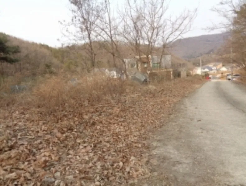 사진 7