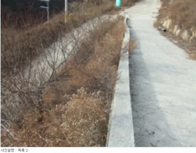 사진 10
