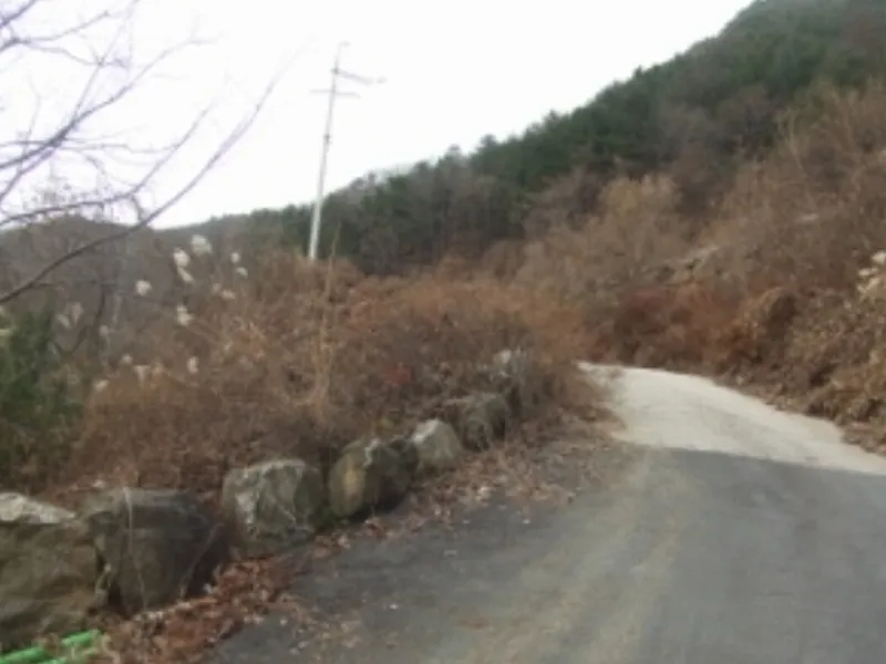 사진 13