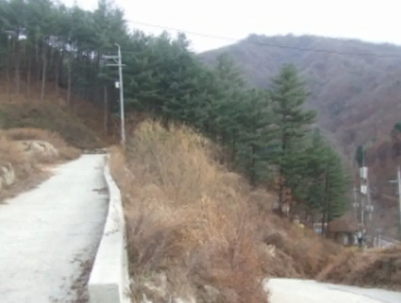 사진 17