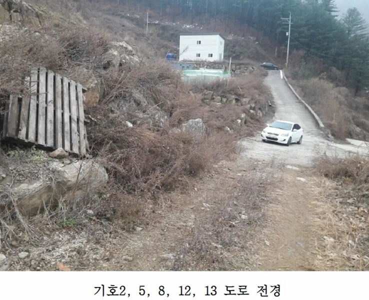 사진 2