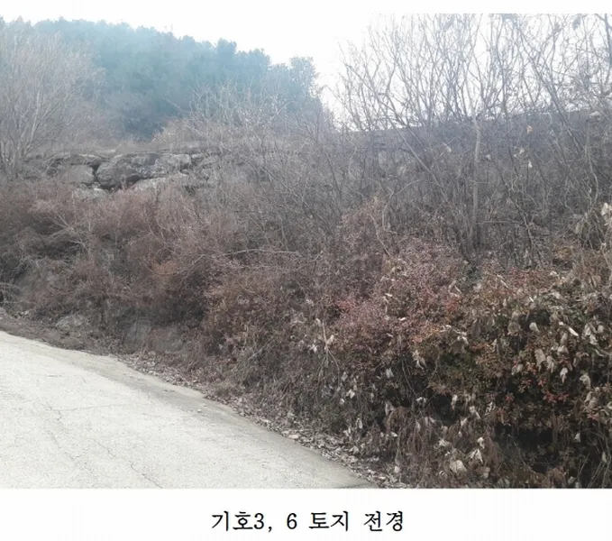 사진 3