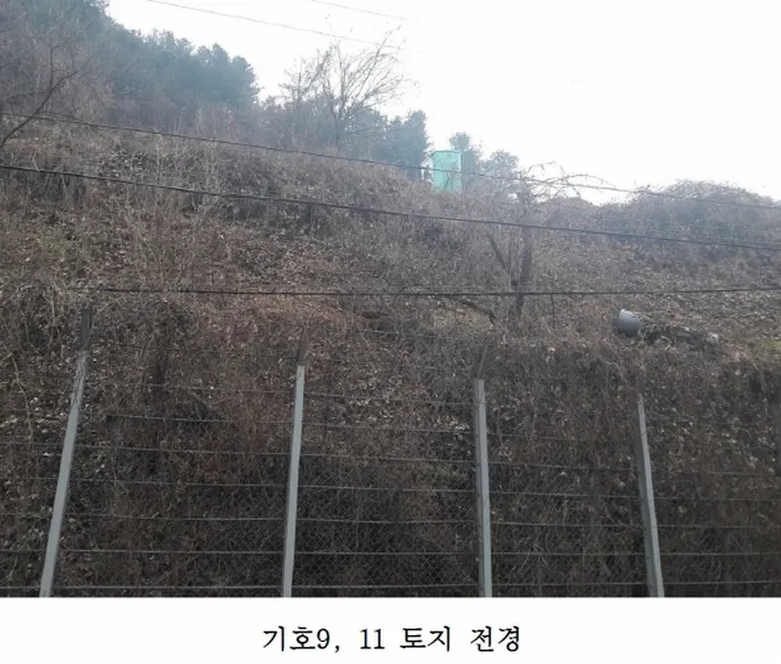사진 5