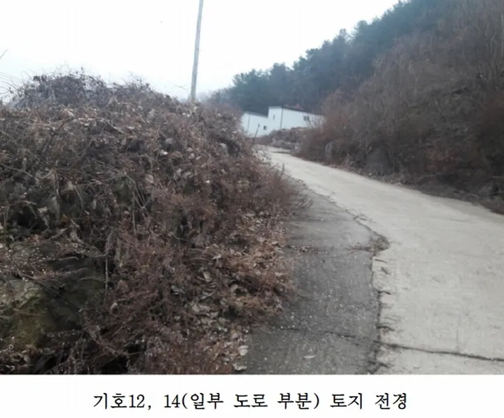 사진 7