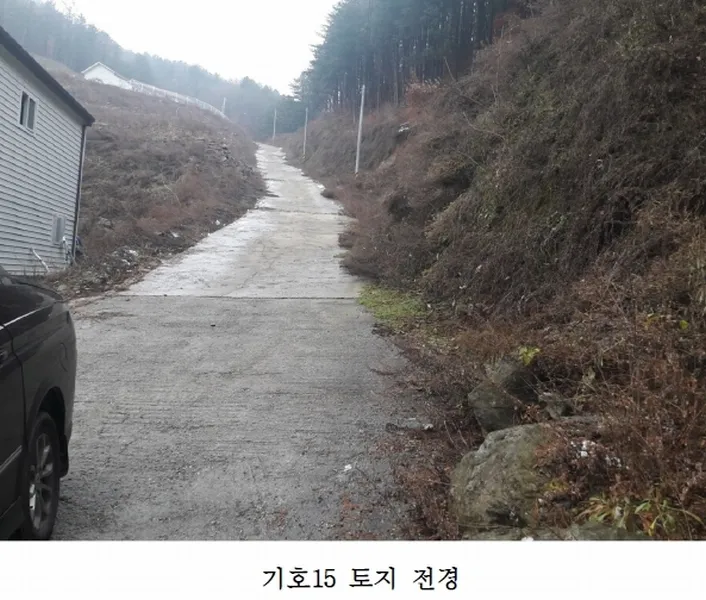 사진 8