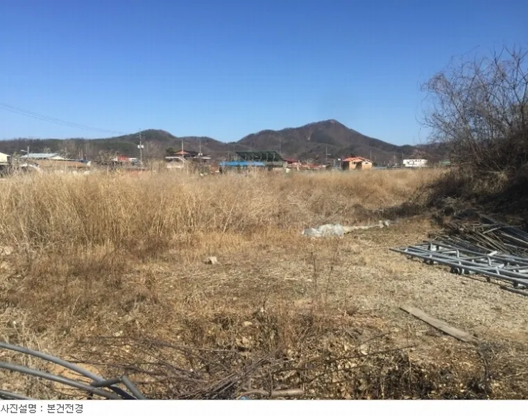 사진 3