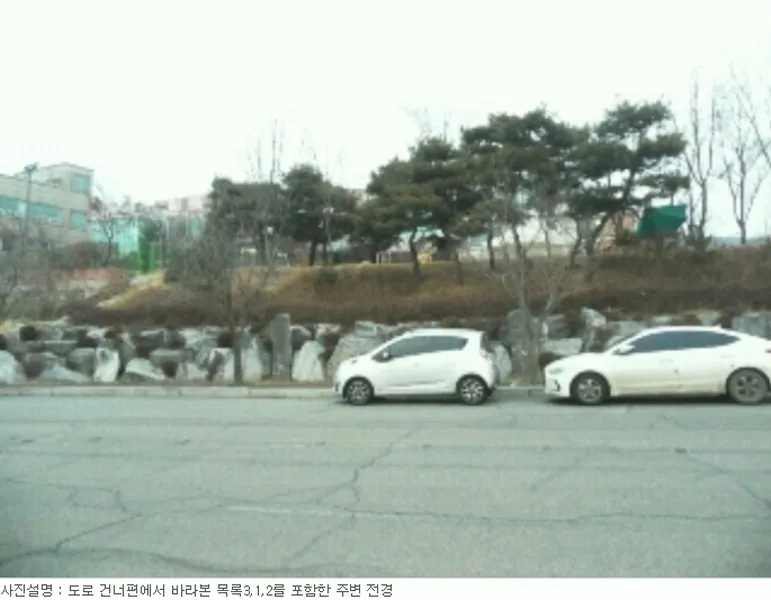 사진 3