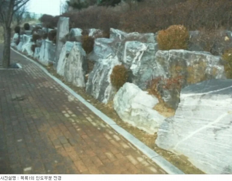 사진 6