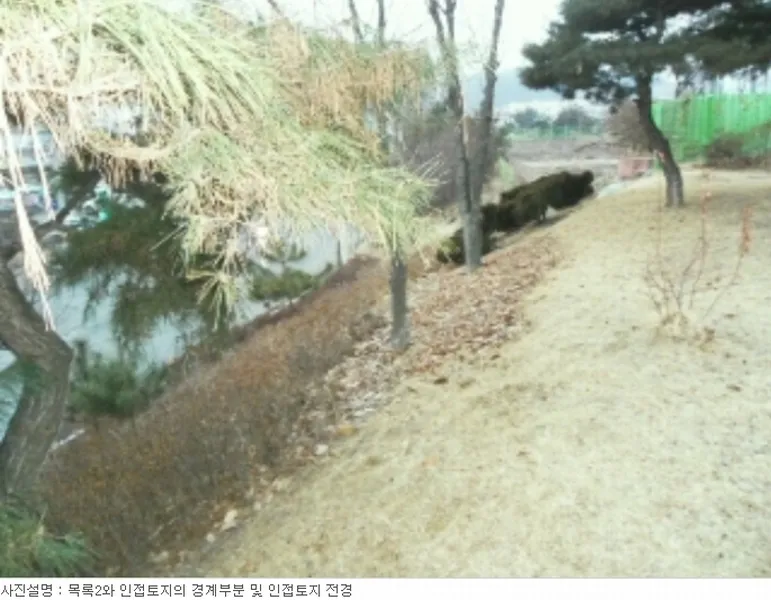사진 8