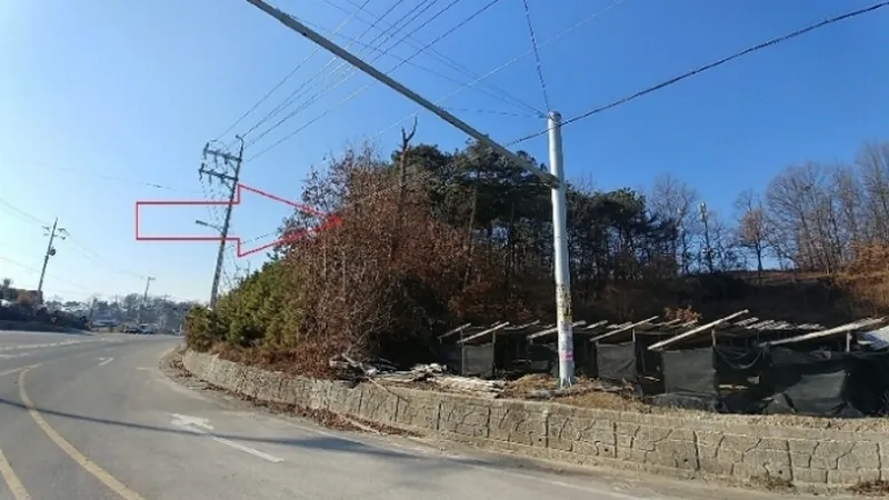 사진 2