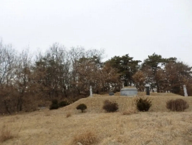 사진 6