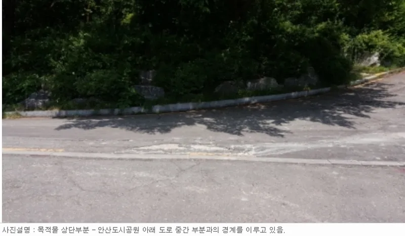 사진 4