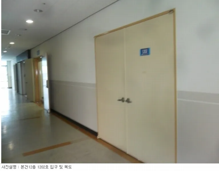 사진 10