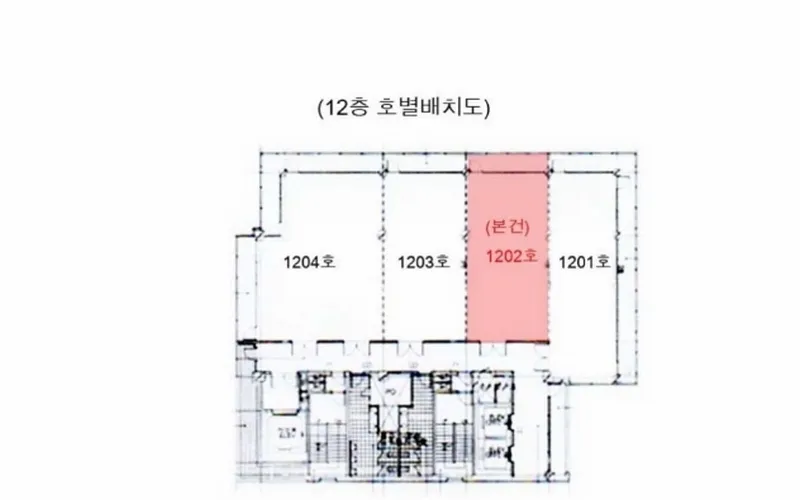 사진 16